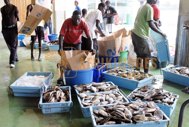 Afrikimages pêche