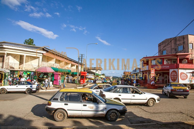 Afrikimages oyem021