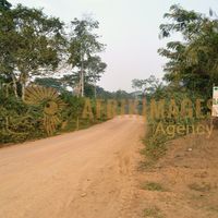 Afrikimages gabon / agriculture