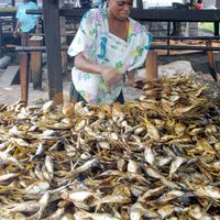 Afrikimages gabon /macro-économie