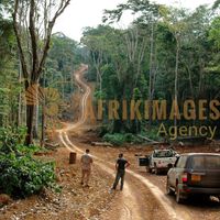 Afrikimages gabon / bois