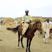 Afrikimages tchad /marchés