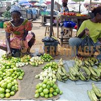 Afrikimages gabon /marchés