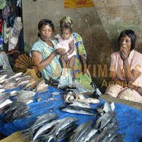 Afrikimages gabon /marchés