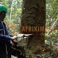 Afrikimages gabon / bois