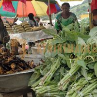 Afrikimages gabon /marchés