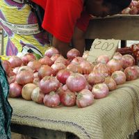 Afrikimages gabon /marchés