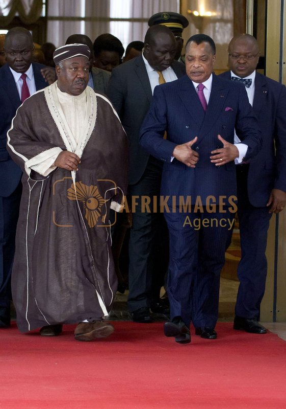 Afrikimages bzv008