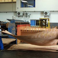 Afrikimages gabon / bois