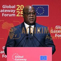 Afrikimages félix tshisekedi