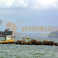 Afrikimages gabon / bois