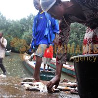 Afrikimages gabon/ pêche