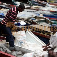 Afrikimages gabon/ pêche