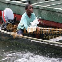 Afrikimages gabon/ pêche