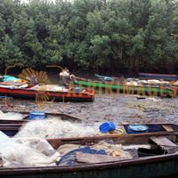 Afrikimages gabon/ pêche