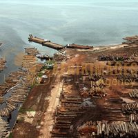 Afrikimages gabon / bois