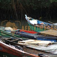 Afrikimages gabon/ pêche