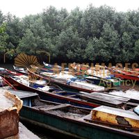 Afrikimages gabon/ pêche