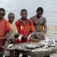Afrikimages gabon/ pêche