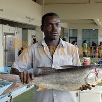 Afrikimages gabon/ pêche