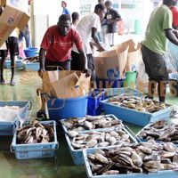 Afrikimages gabon/ gabon/ pêche