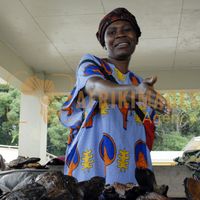 Afrikimages gabon/ pêche