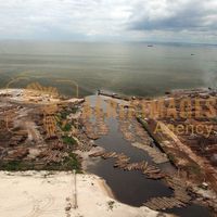 Afrikimages gabon / bois