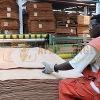 Afrikimages gabon / bois