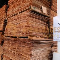 Afrikimages gabon / bois