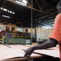 Afrikimages gabon / bois