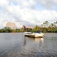 Afrikimages gabon/  transport