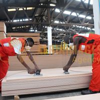 Afrikimages gabon / bois