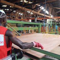 Afrikimages gabon / bois