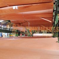 Afrikimages gabon / bois