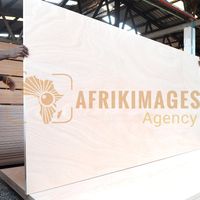 Afrikimages gabon / bois