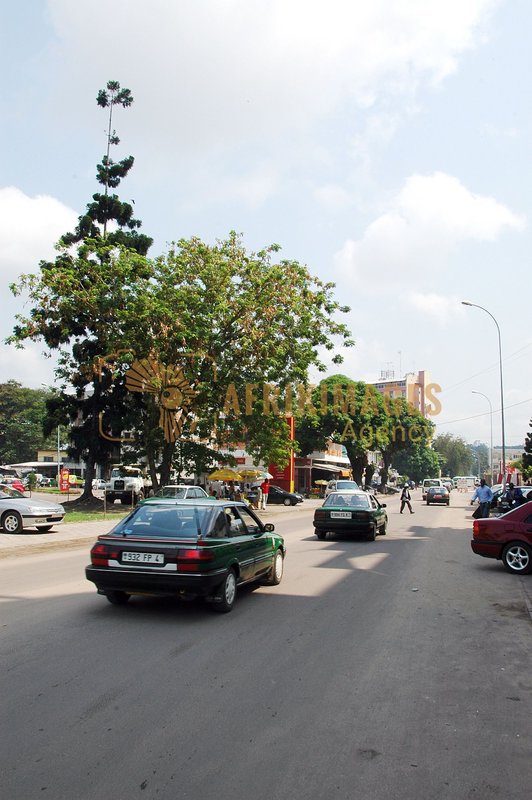 Afrikimages congo /  brazzaville