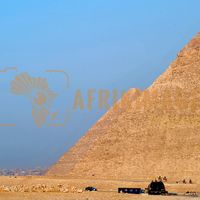 Afrikimages egypte /  caire