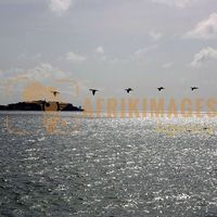 Afrikimages sénégal /  dakar